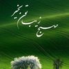 user3988187054210