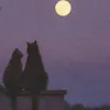 meowmeow.301