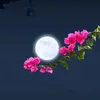 shahzaibmalik09713