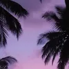 user9045970046537