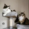 camilleminou