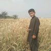 umar.102030