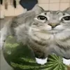 hezik@