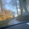 xxgeorgia_axx