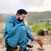 lalagulldrishak3100