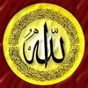 user8729630917762