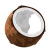 coconut.commenter