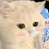 _ainhan_2