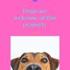 pettravel101