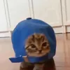 _qwhy_