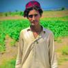 faisal.khan9193