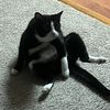 oshie056