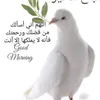user12qwqq
