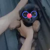 hieuthuog