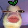 _theyluv22