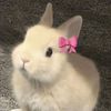 baariyad_11