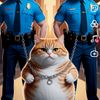 orangecatlifestoriess