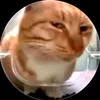leothegreates7