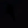 user5720076775230