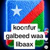hassan.adan67