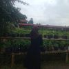 strawbbaies_21