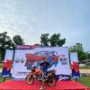 aingmaaung245