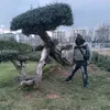 user3361507201093