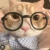 trang.minh8507