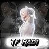 tf_hadi_