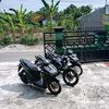 varza_255