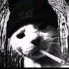 rapiii_ajaaa27