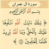 user227619461110