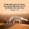 masudurrahman.noyon