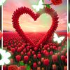 chit.maung1562