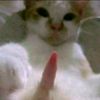 nannnwe_
