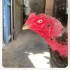 jackiepham78