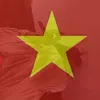 m_hg085213