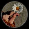 diluka.priyadarsh7