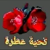 user6826179202199