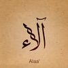 alaa.ali1850