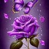 samnfatima2