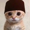 user466210056