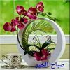 user2657827994583