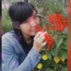guli80797