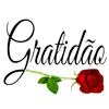 francisca.helena867