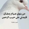 abdellahieslm