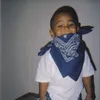 pexro.lmao