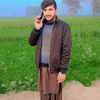 dilawarmughal2087