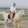 avanqaralows