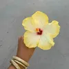 sara.05034